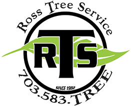 Ross Tree Service Ltd, logo